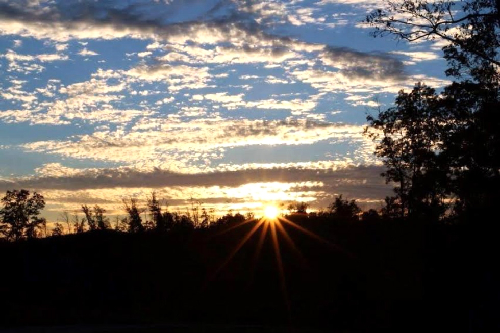 WildCat OffRoad Park Wildcat Adventures and OffRoad Park !! Adventure